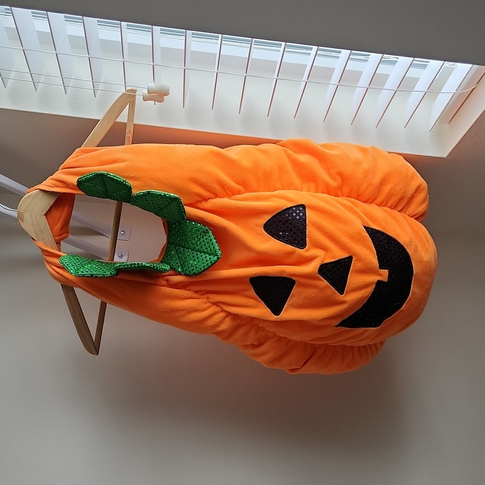 Médium Dog costume